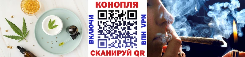 как найти наркотики  Аргун  Еда ТГК конопля 