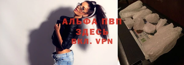 гидра Алексеевка
