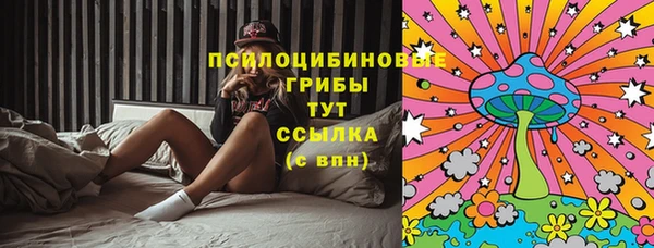 гидра Алексеевка
