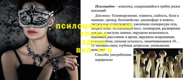 гидра Алексеевка
