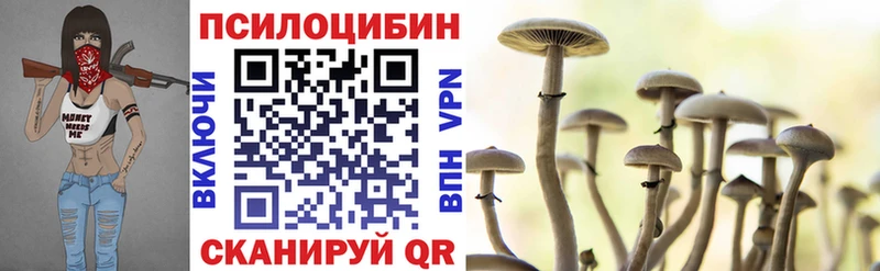закладка  Аргун  Псилоцибиновые грибы GOLDEN TEACHER 