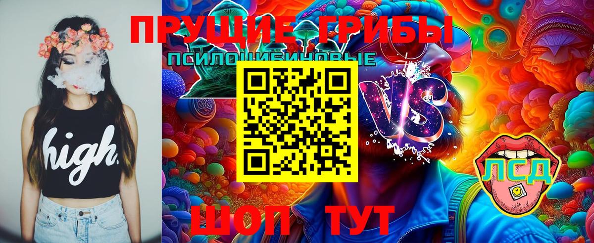 Аргун  Галлюциногенные грибы Magic Shrooms  Вход с VPN  Псилоцибиновые грибы Psilocybe 