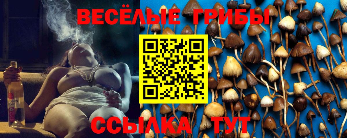 Псилоцибиновые грибы Psilocybe Аргун