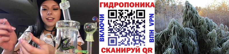 цена наркотик  Аргун  МАРИХУАНА индика 